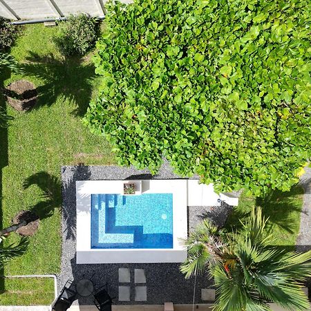 Oasis Arenal Villa Pool & Arenal Volcano View ラ・フォルトゥナ エクステリア 写真